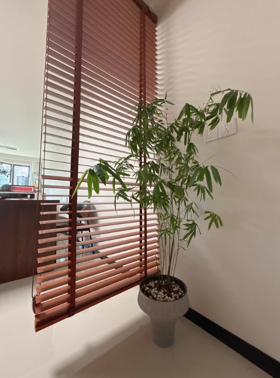Brown wood-look horizontal slatted Venetian blind in a real room corner beside a potted plant.